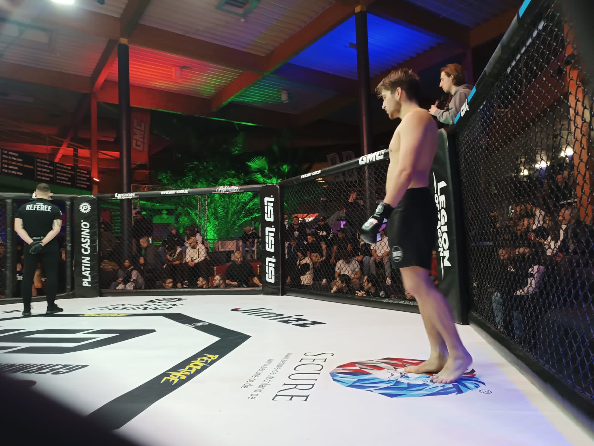 MMA fight stance in the octagon