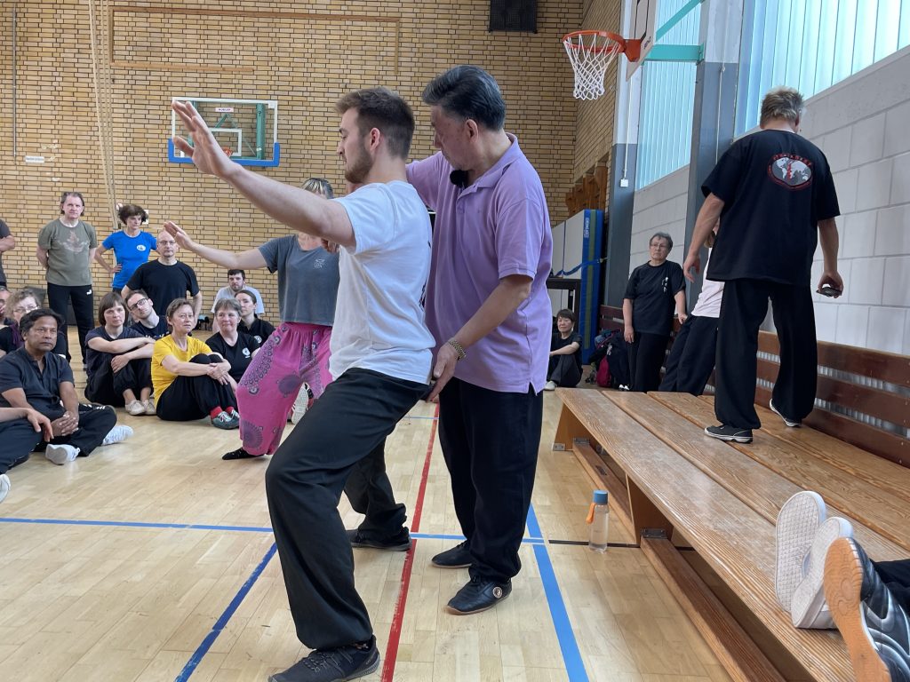 Tai Chi master workshop in Europe