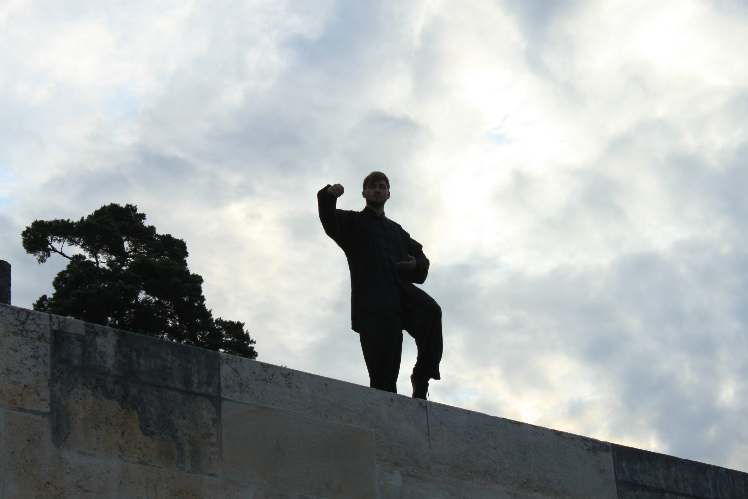 Martial arts movement under natural light