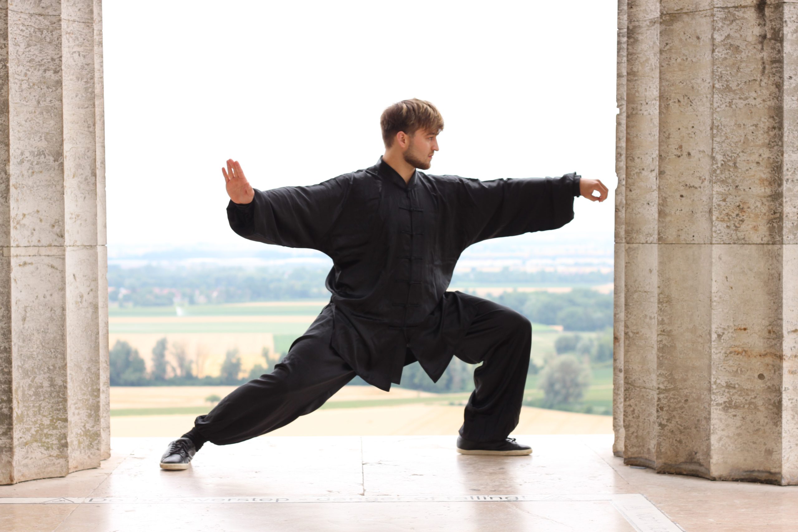 Chen Tai Chi push hands position